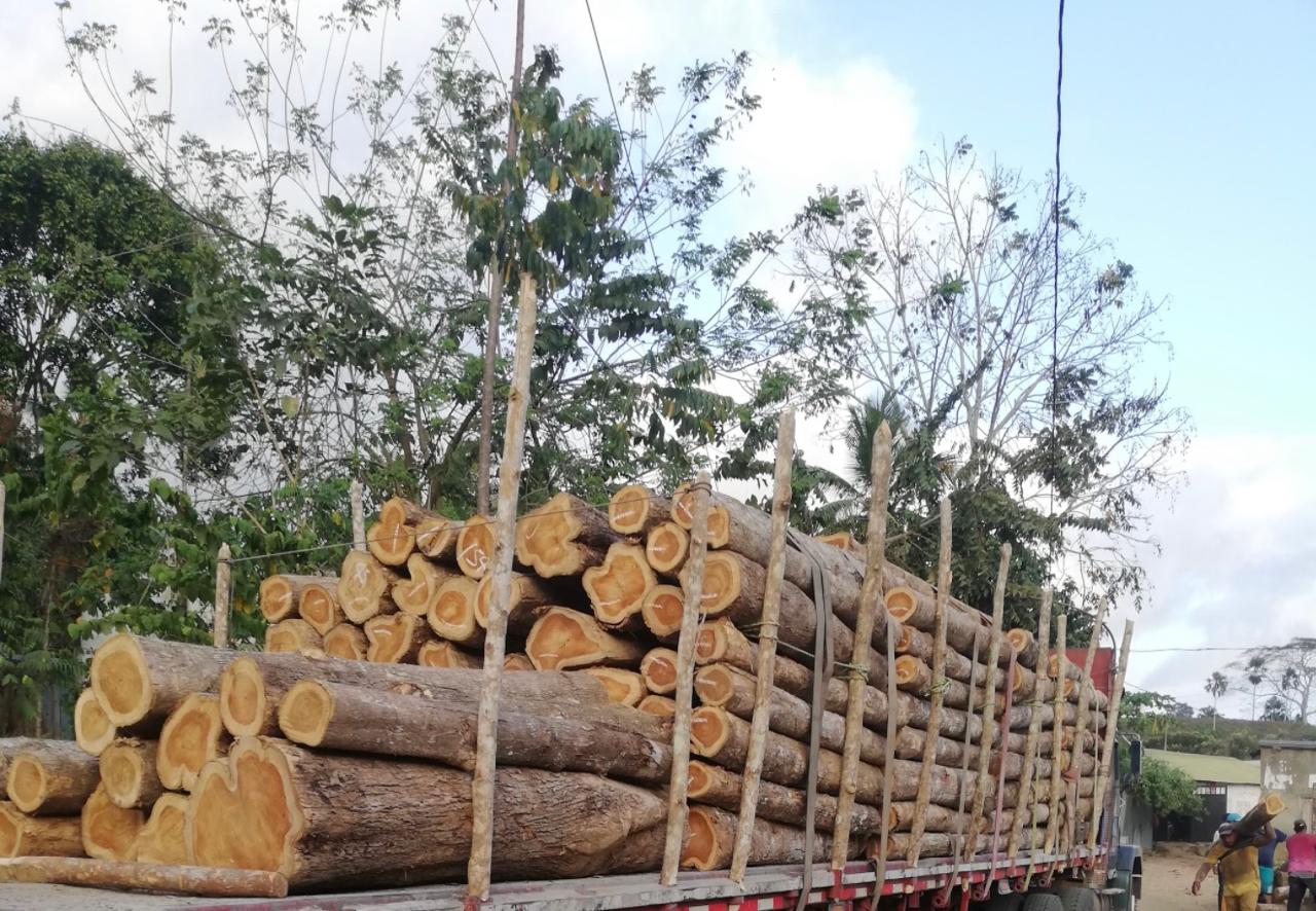 Trabajo con materiales de madera en un taller